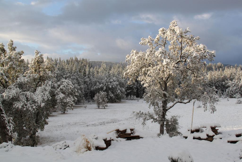 Red Tail Ranch Bed and Breakfast Groveland Exterior foto